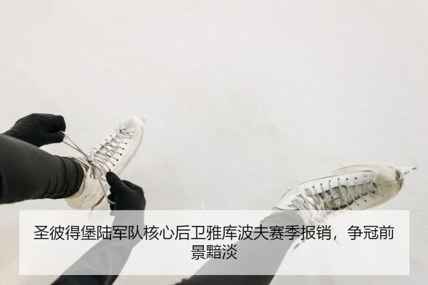 sheng-bi-de-bao-lu-jun-dui-he-xin-hou-wei-ya-ku-bo-fu-sai-ji-bao-xiao-zheng-guan-qian-jing-an-dan-2-521.jpg